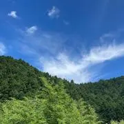 きくち