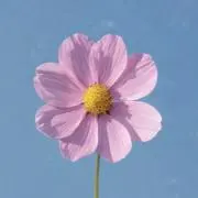 YOOX プロフ確認必須の画像