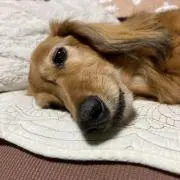 YAMI☆の画像