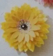 popoの画像