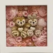 teddyの画像