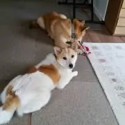 かんた