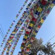 Haruの画像