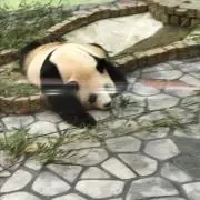 いちご大福