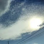 えりんぎ✳︎