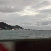 青みんとの画像