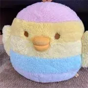 ぴよの画像
