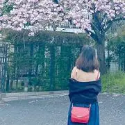 みょいの画像