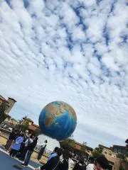 くまの画像