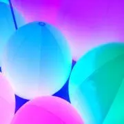 はなの画像