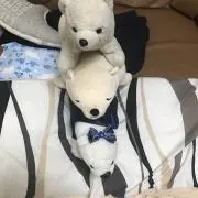 Sirokuma
