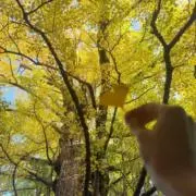 星川の画像