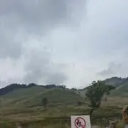 Elfの画像