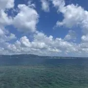 りりーの画像