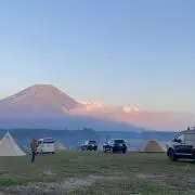 Sanyの画像