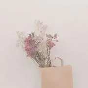 Haru_の画像