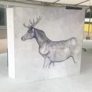 nusuの画像