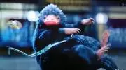 しろの画像