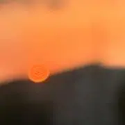 黒田の画像