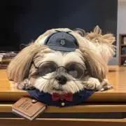 みぅの画像
