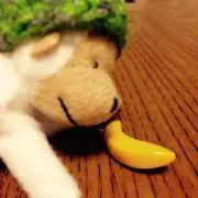 rico★の画像