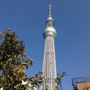 shimehiluの画像