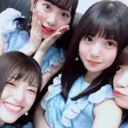 シャドール愛好家