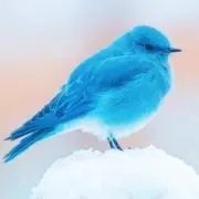 なお＊プロフィールご覧ください＊の画像