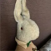 アネさんの画像