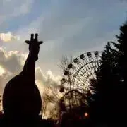 Naruの画像