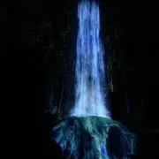 即購入大歓迎⭐︎迅速、丁寧をモットーにの画像