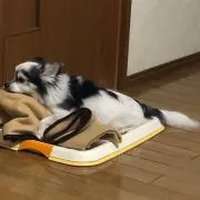 りょー★