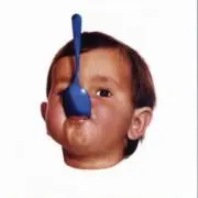 さくらの画像