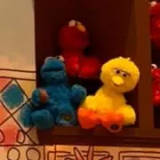 すちの画像