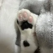 haruの画像