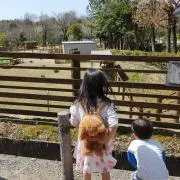 イクマイプロテイン