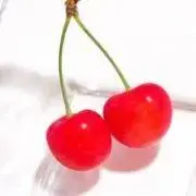 チェリーの画像