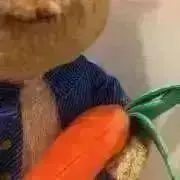 ラビの画像