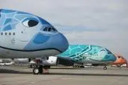 しろたん