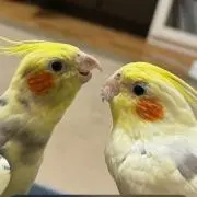 マーリン