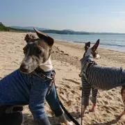 エリ4児ママ