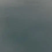 ジョンジョンの画像