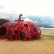 mg01の画像