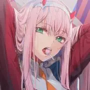きょんの画像