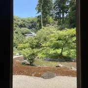 しろいろさんの画像