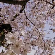 そら ※プロフィールを読んでくださいの画像