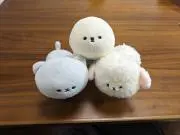 みーの画像
