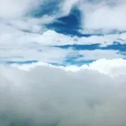 めい