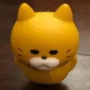 のらねこ(=^x^=)の画像