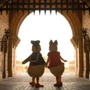 ポガリの画像